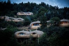 Wilderness Bisate