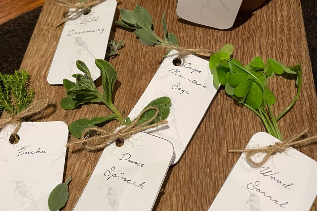 herbs used in preparing a meal at Grootbos Private Nature Reserve
