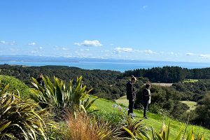 scenic view at Cape Kidnappers, New Zealand