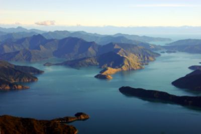 Springtime in New Zealand
